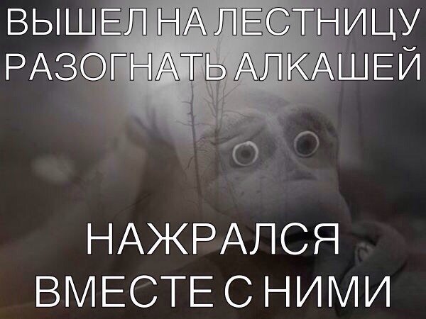 это судьба.jpg