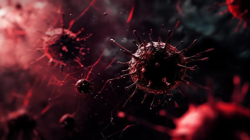 virus.jpg virus.jpg