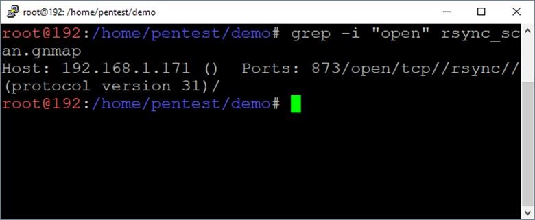 Рисунок 1: Поиск серверов со службой Rsync 